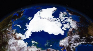 Шельф Арктики может стать «второй Западной Сибирью» для добычи нефти